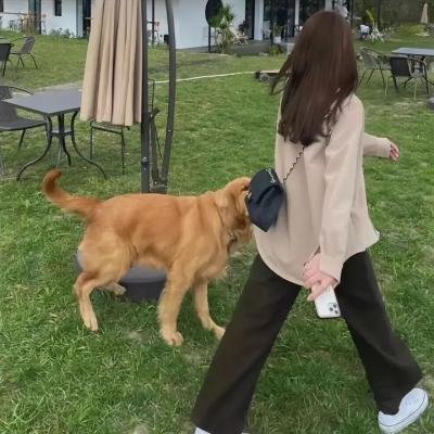 胡思乱想